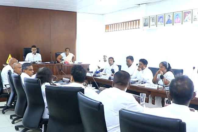 දොඩංගොඩ ප්‍රා.ස. මංගල අයවැය පරදී