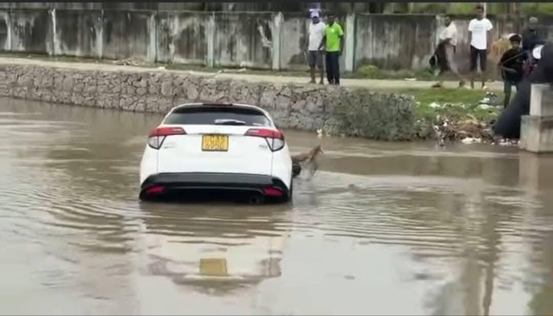 ජිවිත සමඟ ඇළේ ගිලි ගිය මෝටර් රථය