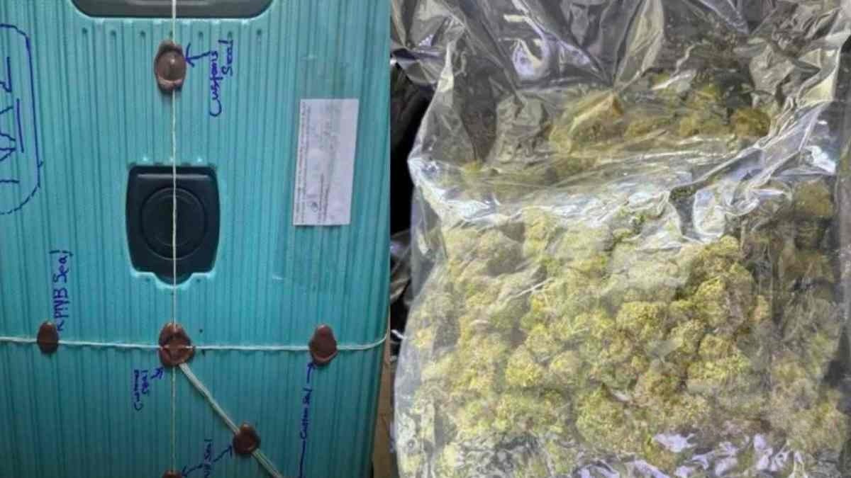 ගුවන් තොටුපළේ අත්හැර දමා ගිය බෑගයක තිබී කුෂ් මත්ද්රව්ය තොගයක් සොයාගැනේ ගුවන් තොටුපළේ අත්හැර දමා ගිය බෑගයක තිබී කුෂ් මත්ද්රව්ය තොගයක් සොයාගැනේ